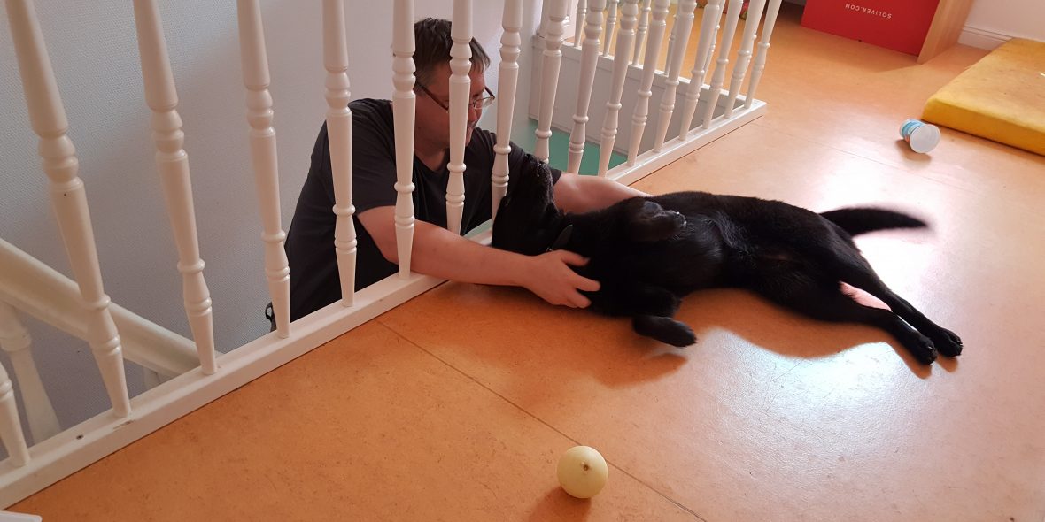 Morgenritual: Weltfrieden, ich komme!