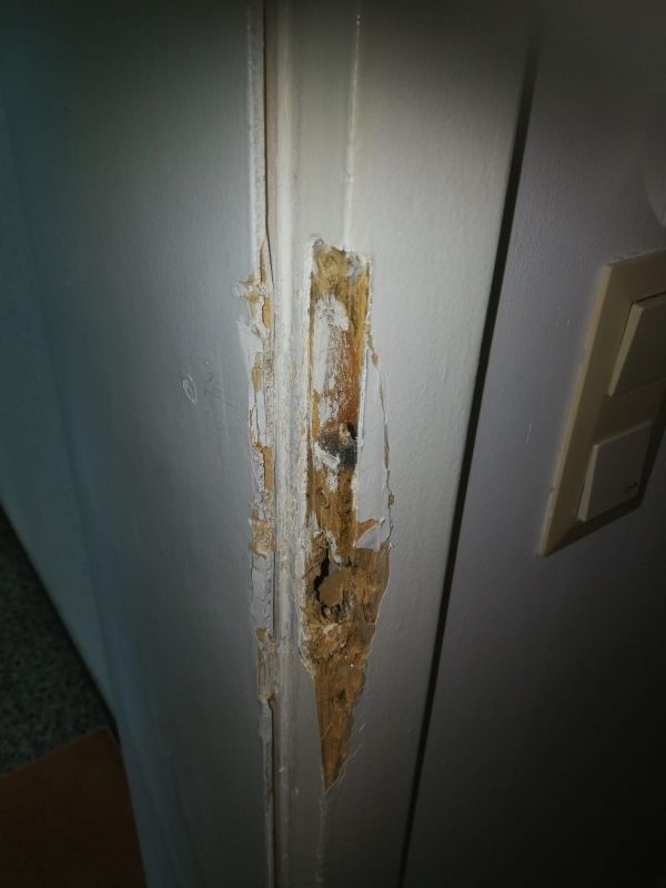 Wohnungseingangstür vor der Reparatur eines Aufbruchschadens