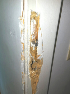 Defekte Türzarge nach unsachgemäßer Öffnung