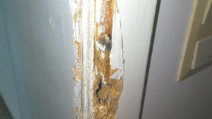 Defekte Türzarge nach unprofessioneller Türöffnung vor der Reparatur