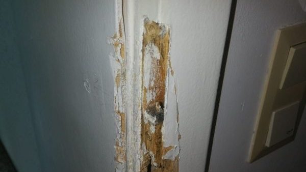 Defekte Türzarge nach Aufhebeln